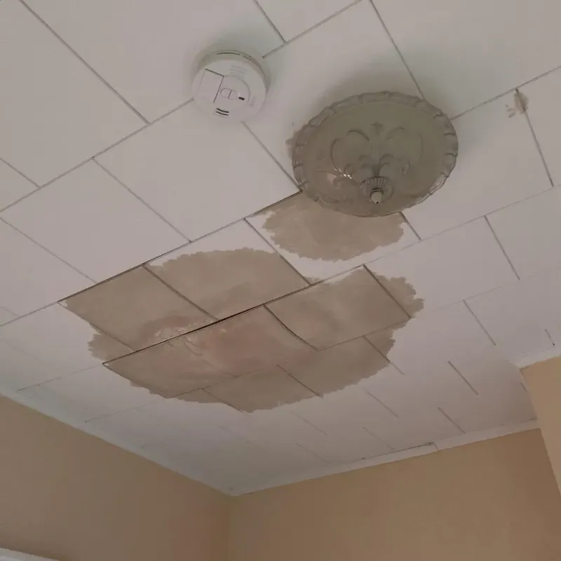 Ceiling Water Damage Repair in Ama, LA